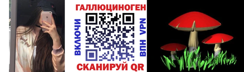 Галлюциногенные грибы GOLDEN TEACHER hydra маркетплейс Киселёвск