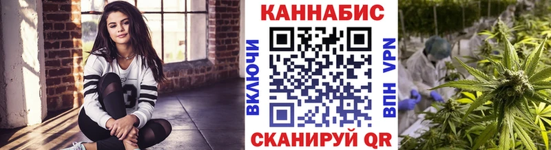 Бошки Шишки планчик Киселёвск